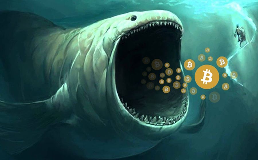 Bitcoin (BTC) Balinalarının Sayısı Uçuşa Geçmiş Durumda!