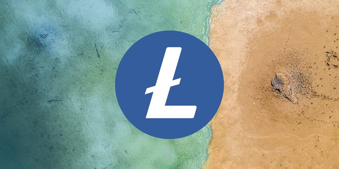 Litecoin (LTC) İçin 200 Dolara İnecek İddiası Yatırımcıları Korkutuyor